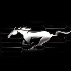 Meet your Posher, Yesika